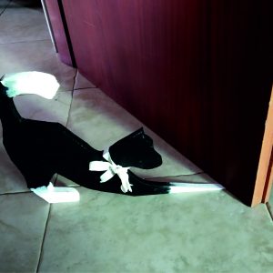 Micio – fermaporta